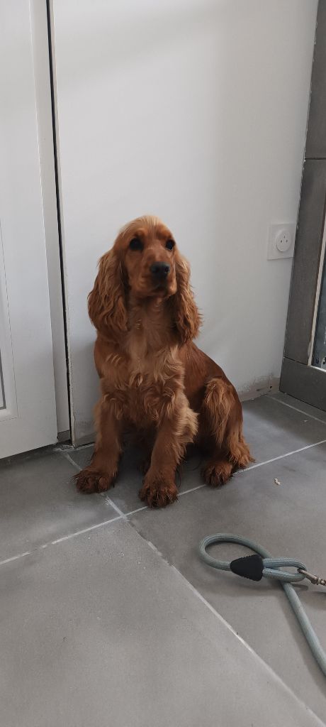 U dior (Sans Affixe)