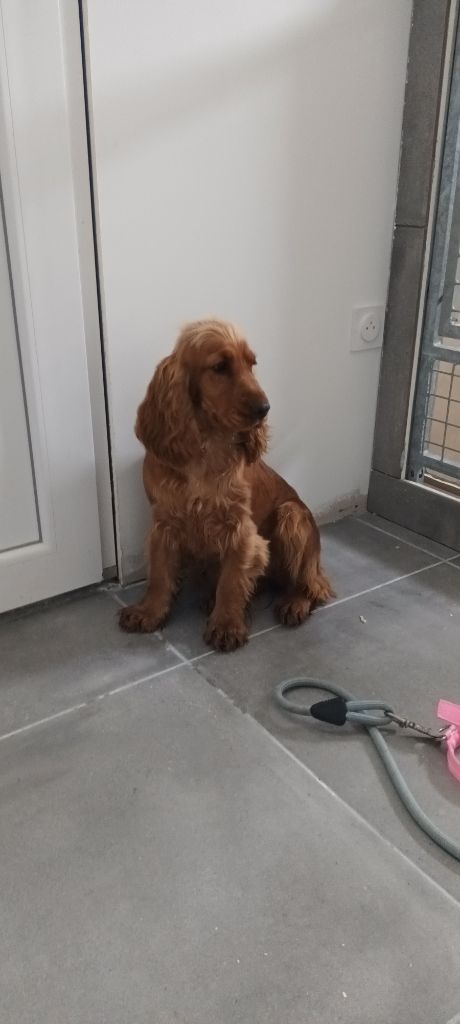 Vcacharel (Sans Affixe)